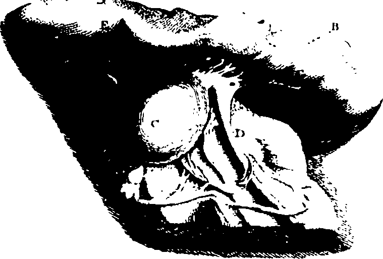 119/119340030000910_0.png