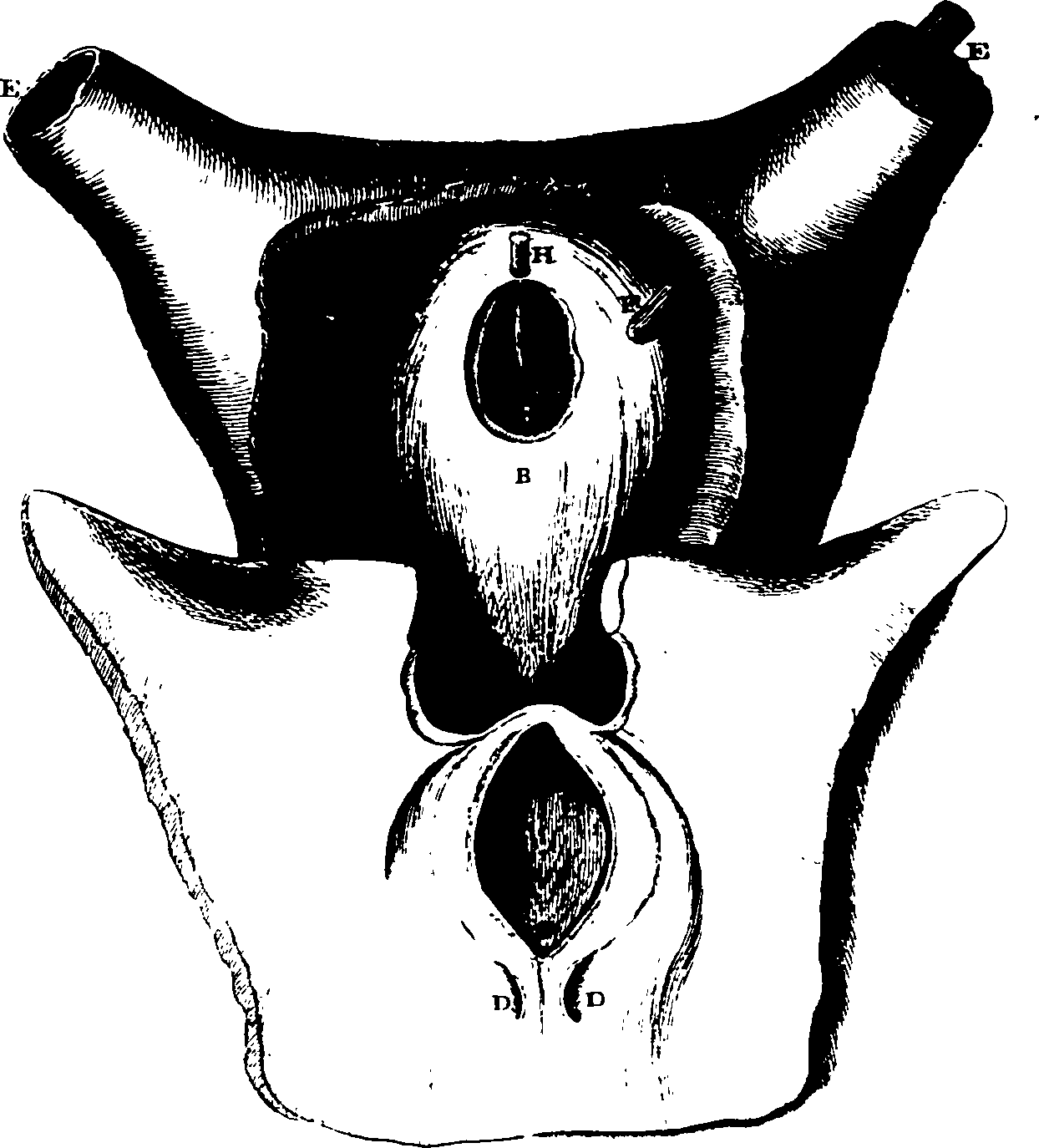 119/119340030000960_1.png