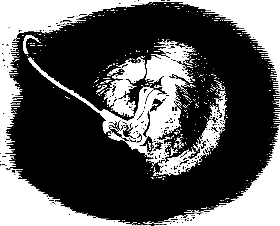 119/119340030000990_0.png