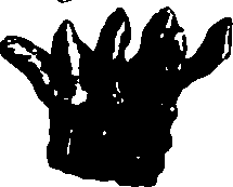 119/119340030001000_0.png