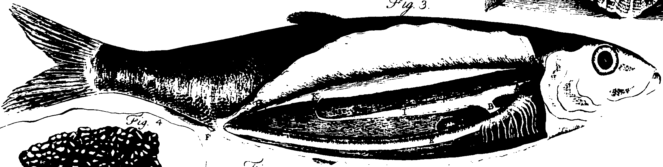 119/119340030001000_1.png