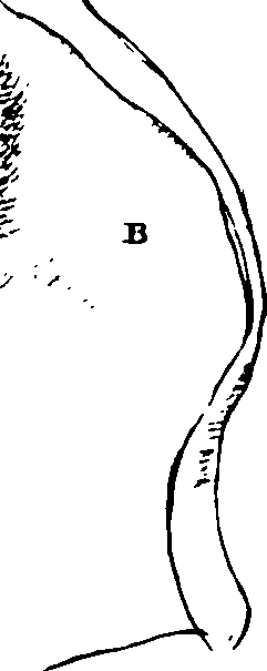 119/119340030001040_0.png