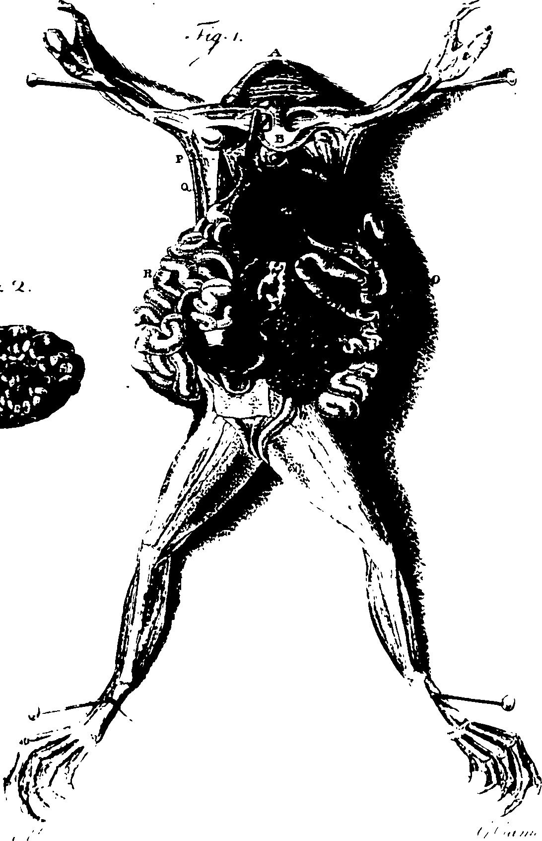 119/119340030001050_0.png