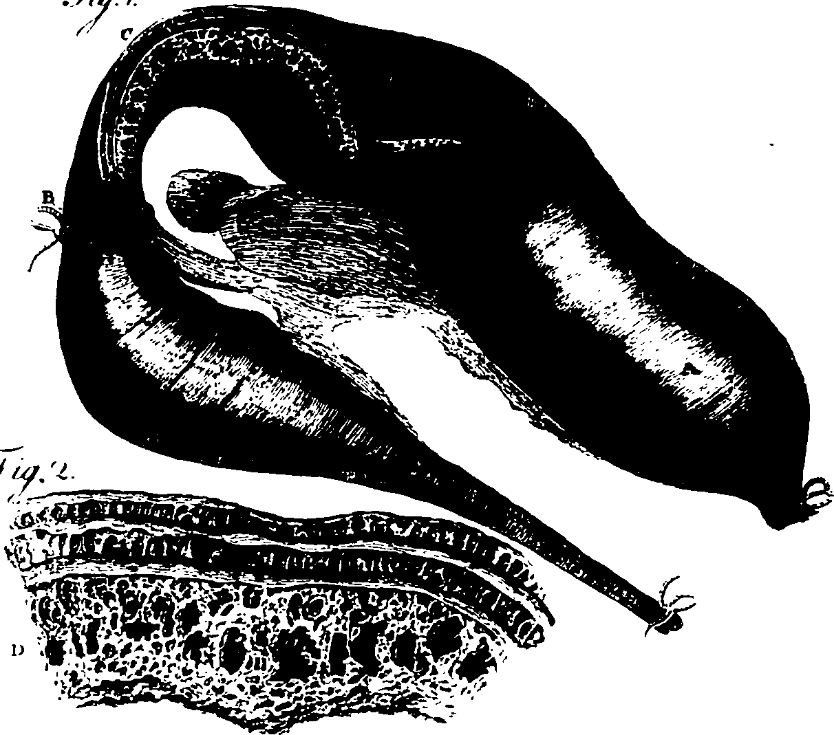 119/119340030001110_0.png