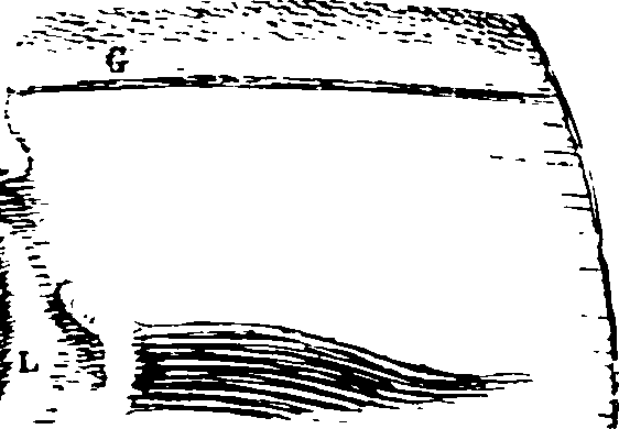119/119340030001220_0.png