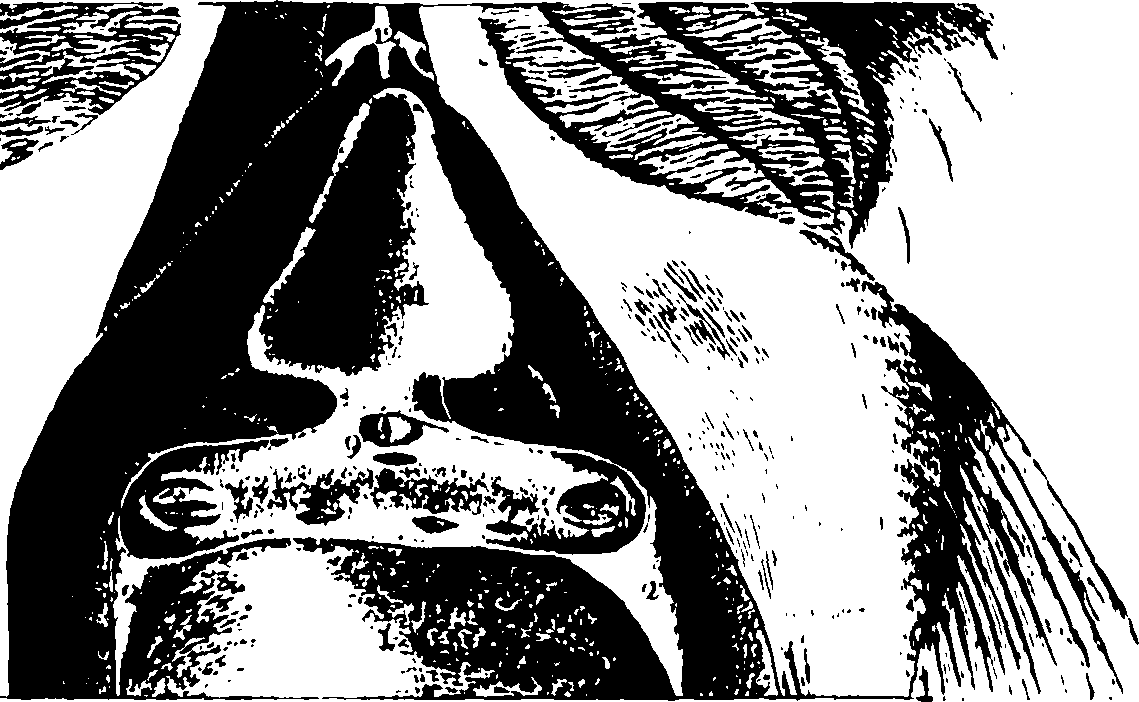 119/119340030001250_0.png