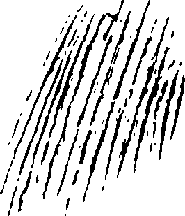 119/119340030001250_1.png