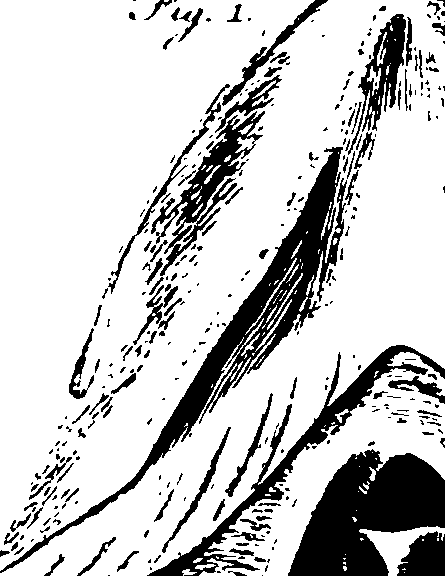 119/119340030001250_2.png