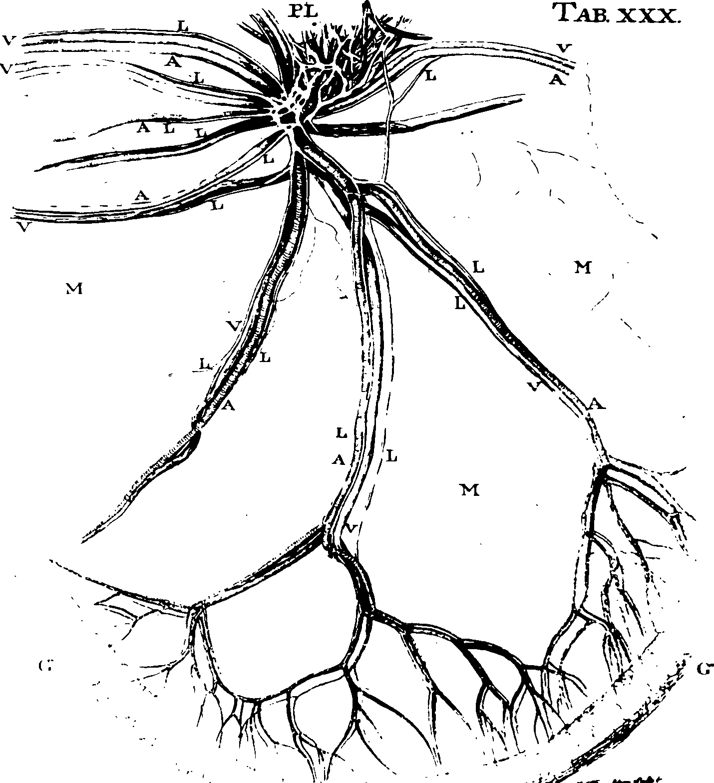 119/119340030001300_0.png