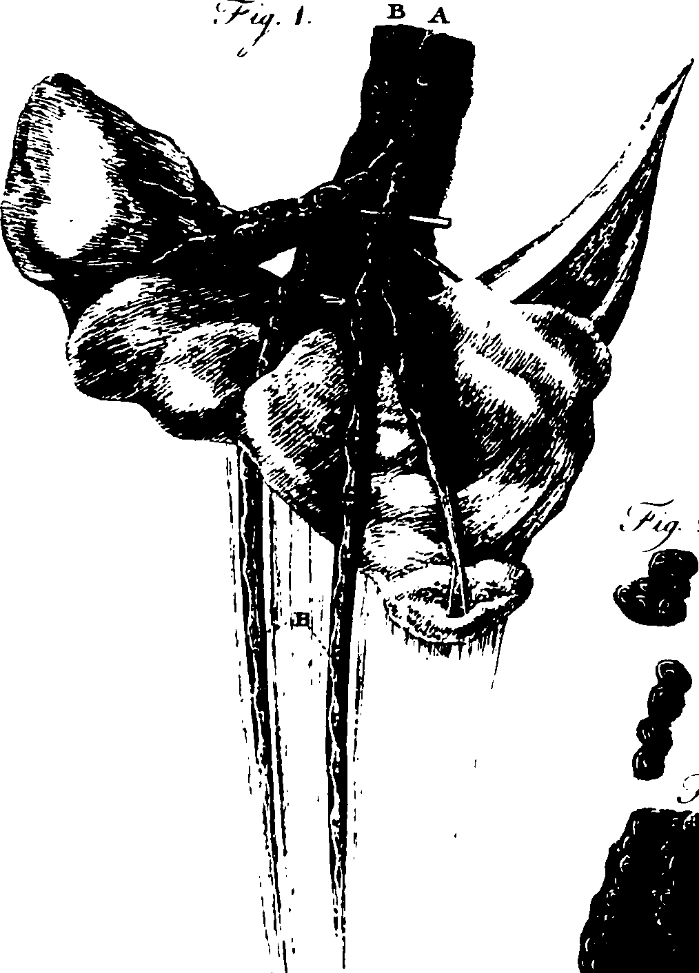 119/119340030001340_0.png