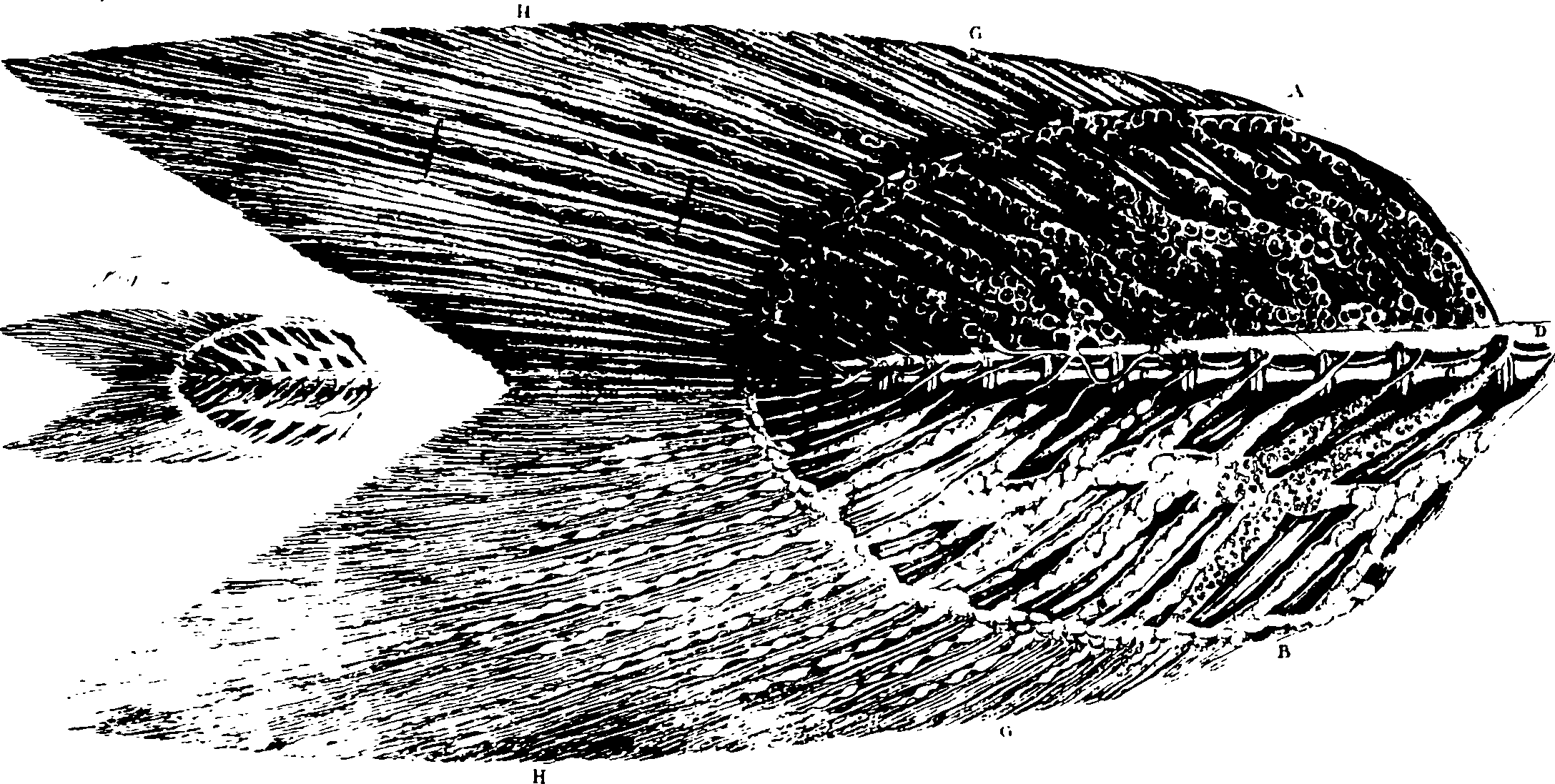 119/119340030001370_0.png