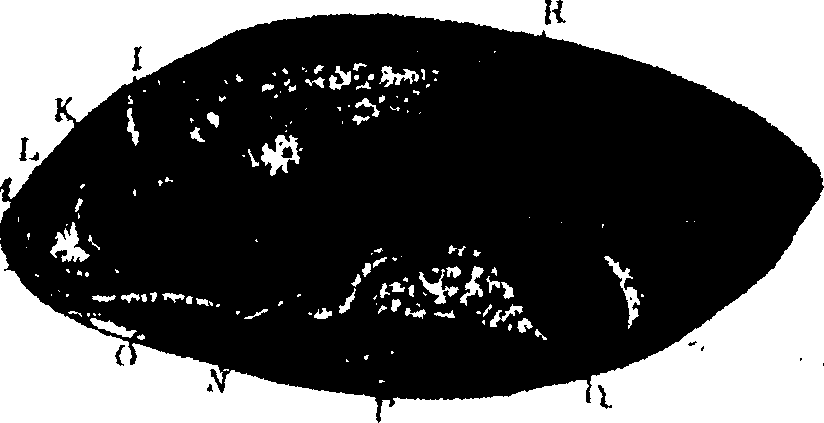 119/119340030001390_0.png