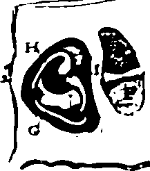 119/119340030001440_0.png