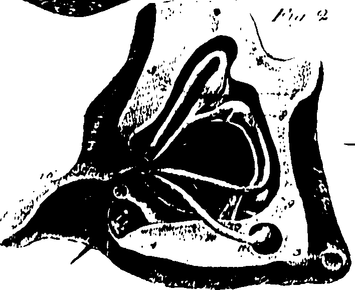 119/119340030001450_0.png