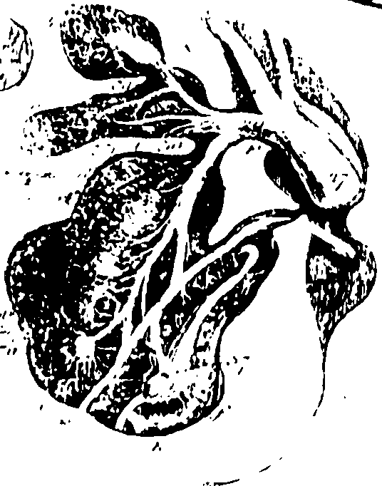 119/119340030001450_1.png