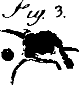 119/119340030001510_0.png