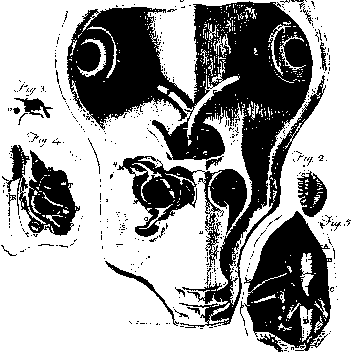 119/119340030001510_1.png