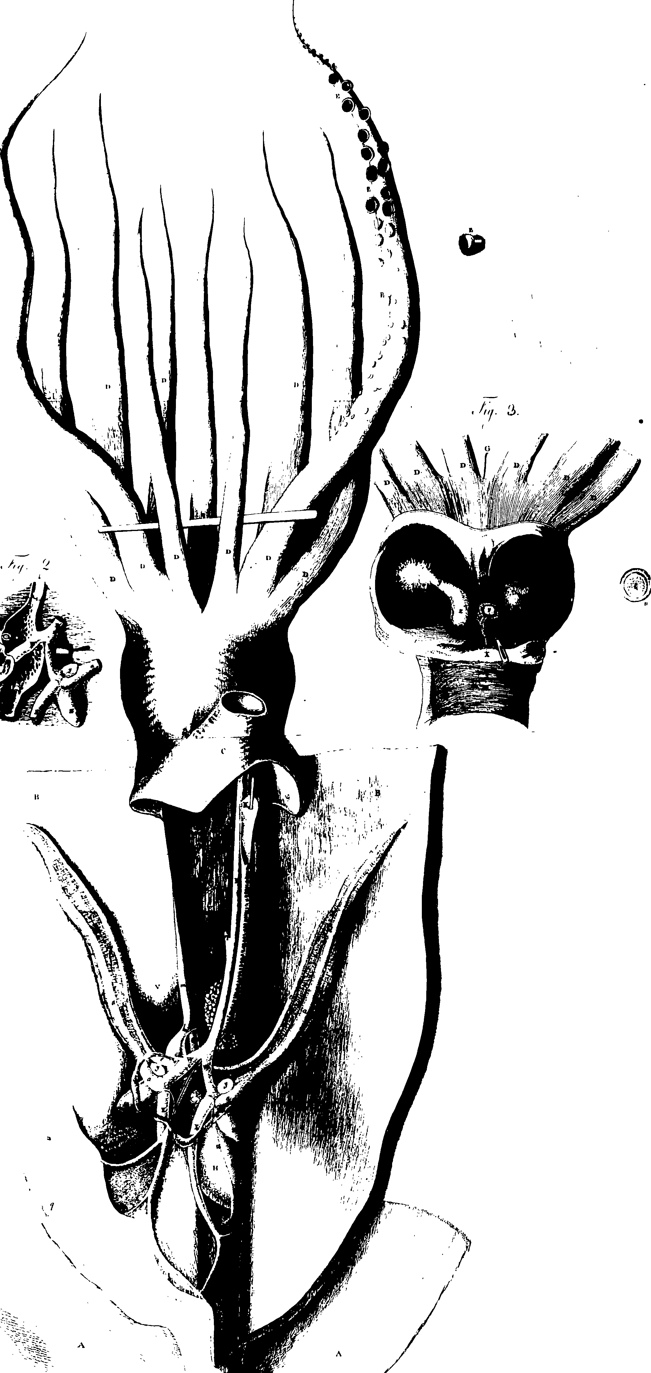 119/119340030001570_0.png