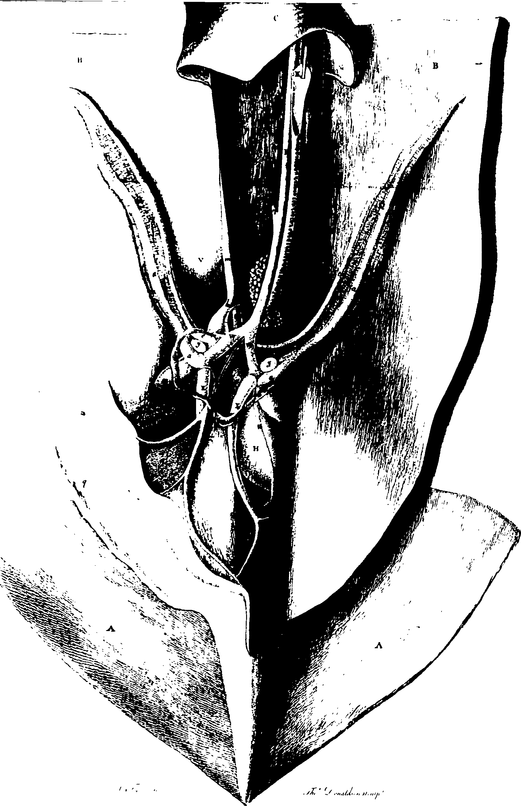 119/119340030001580_0.png