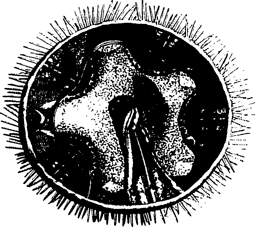 119/119340030001640_0.png