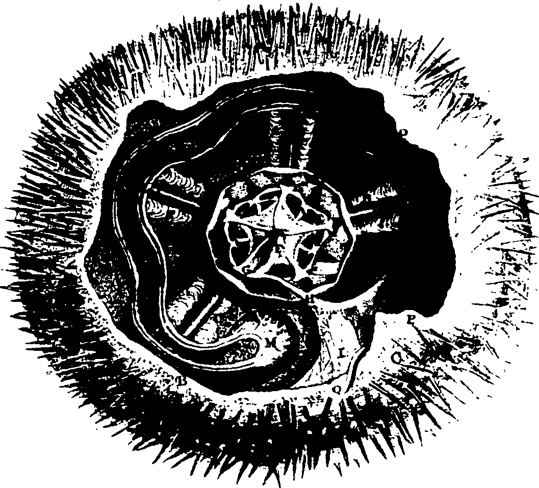 119/119340030001640_1.png