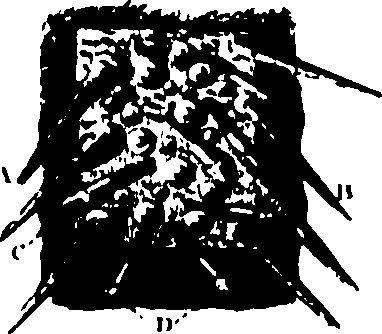 119/119340030001650_0.png