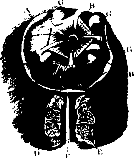 119/119340030001650_1.png