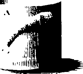 119/119340030001650_2.png