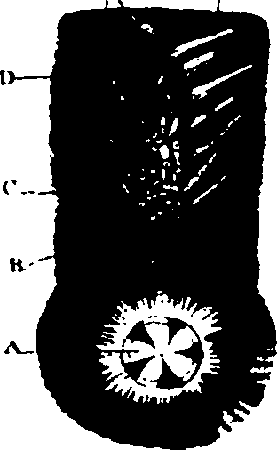 119/119340030001650_5.png