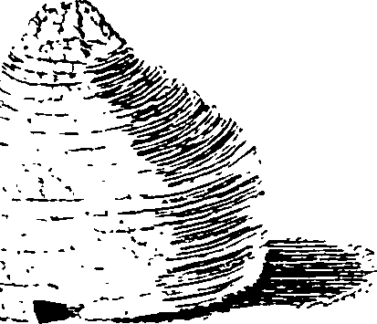 119/119350100000010_1.png