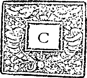 119/119400220000240_0.png