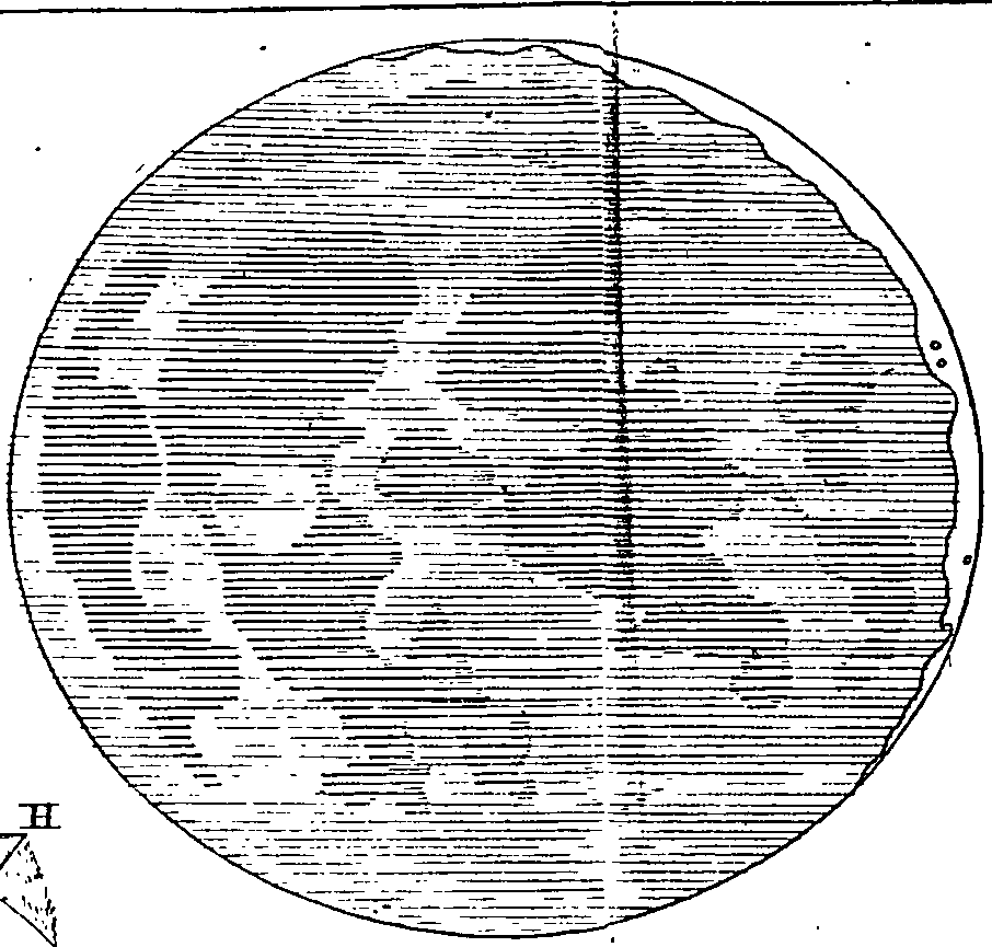 119/119430040002950_0.png
