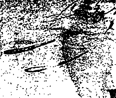 119/119430110000010_2.png