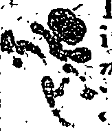 119/119470080000300_0.png