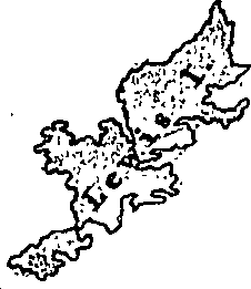 119/119490060000010_0.png