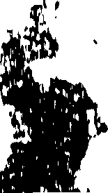 119/119550010000040_0.png