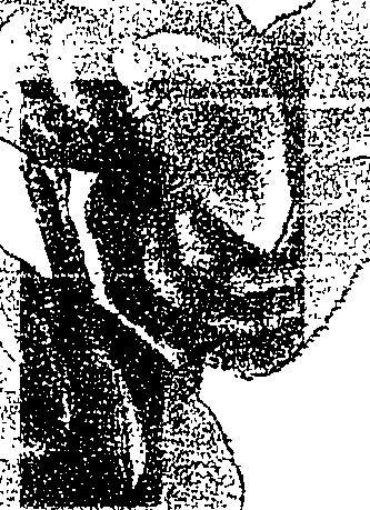 119/119580030004160_0.png