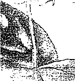 119/119580030004160_1.png