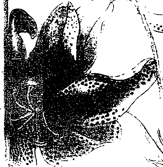 119/119580030004430_0.png