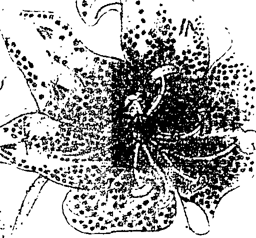 119/119580030004430_1.png