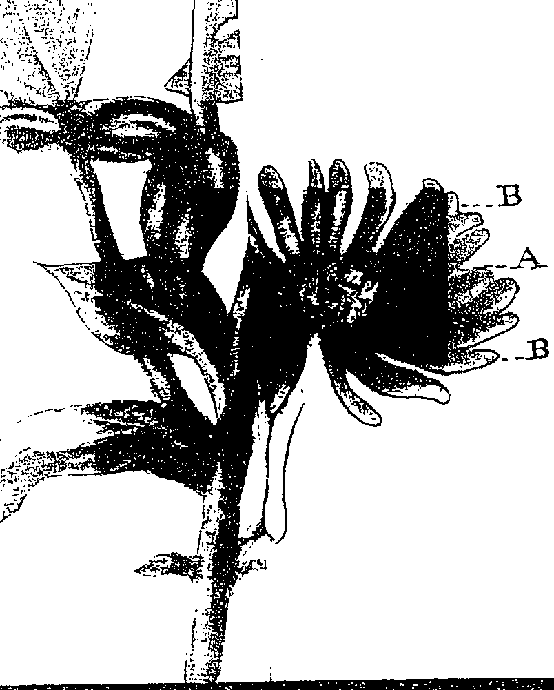 119/119580030004600_0.png
