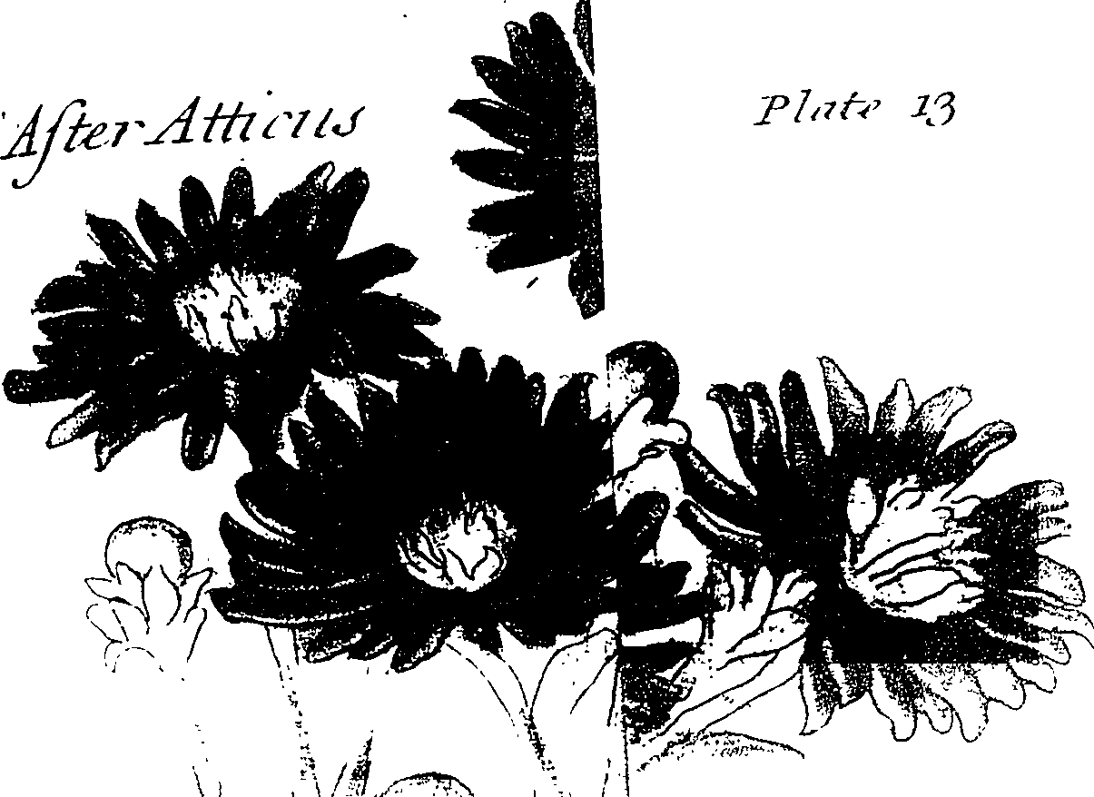 119/119580030004600_1.png