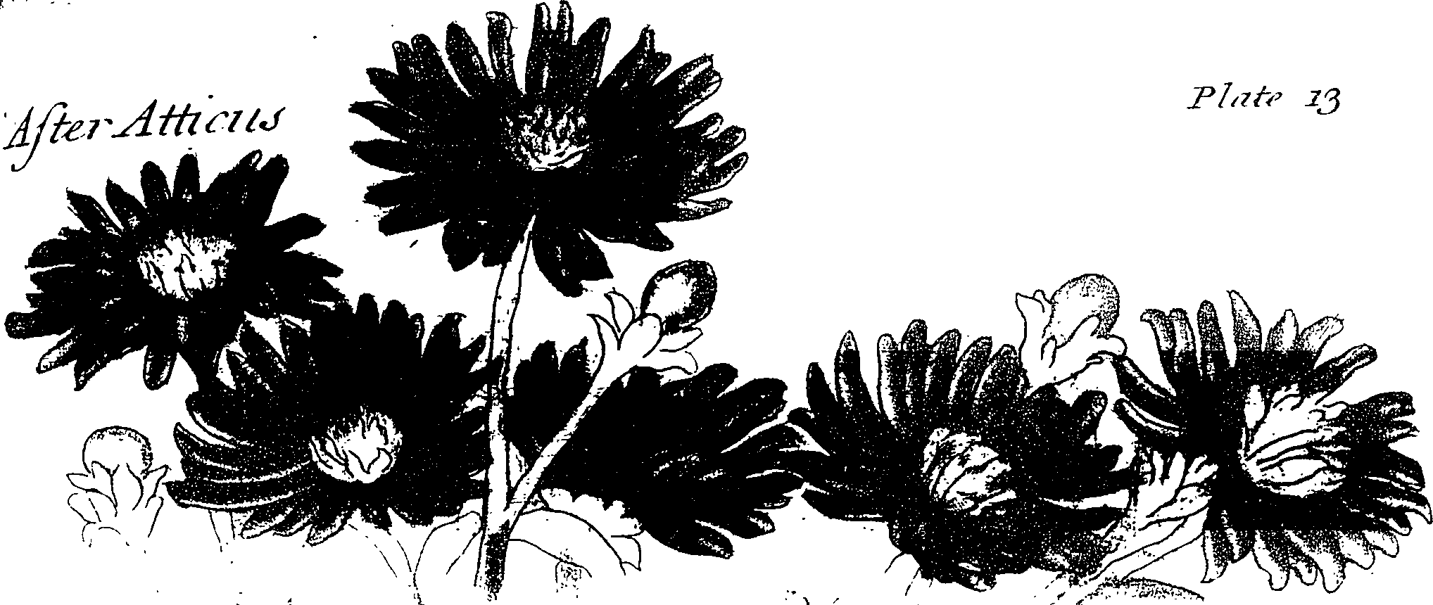 119/119580030004620_1.png
