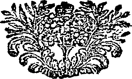 119/119620010000010_0.png