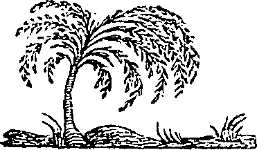 119/119650020001820_0.png