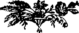 119/119680010000020_1.png