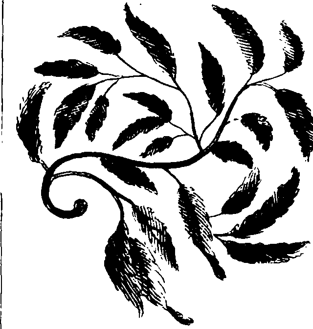 119/119730010203240_1.png