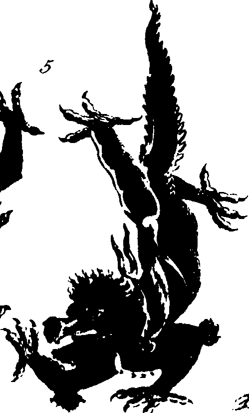 119/119730010203290_0.png