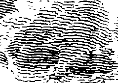 119/119730010203630_0.png