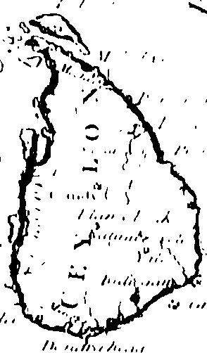 119/119780030000240_0.png